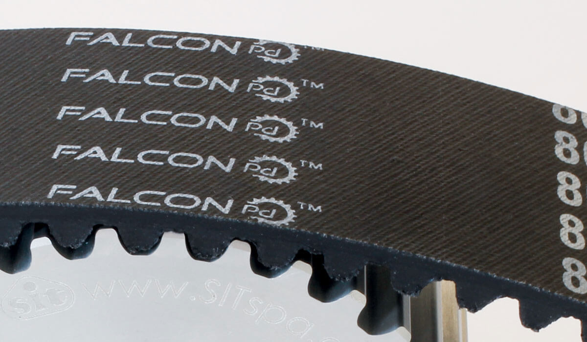 trasmissione falcon pd